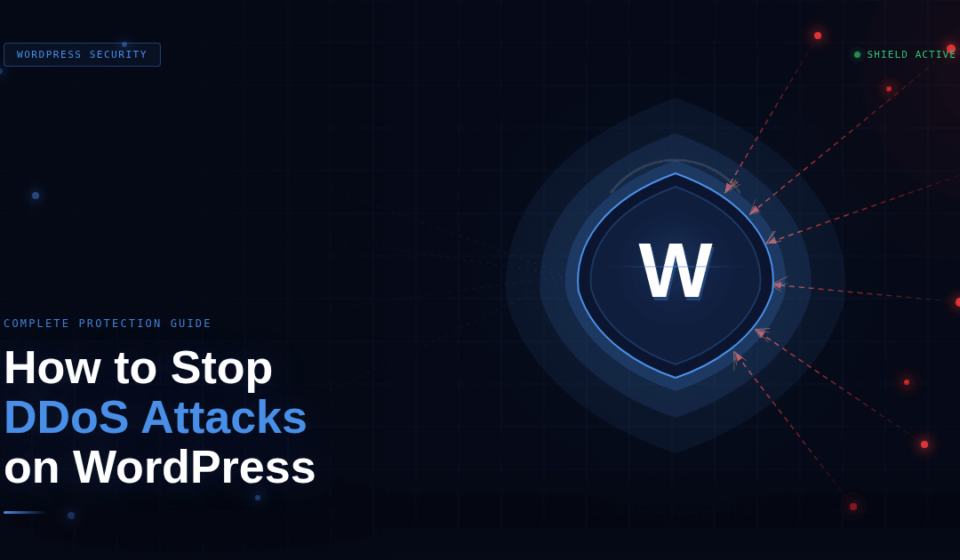 DDoS Attack on Wordpress Site